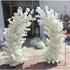 2.2 meter height