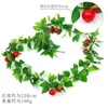 Red apple vines (large fruit)