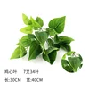 3 petits bouquets de plantes vertes aléatoires