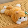 gato amarillo