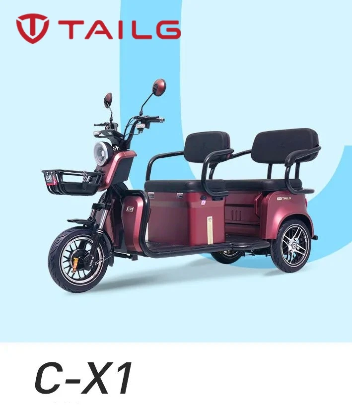 Tailg best sale electric tricycle