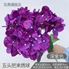 Hortensia de cinco cabezas H de color morado oscuro