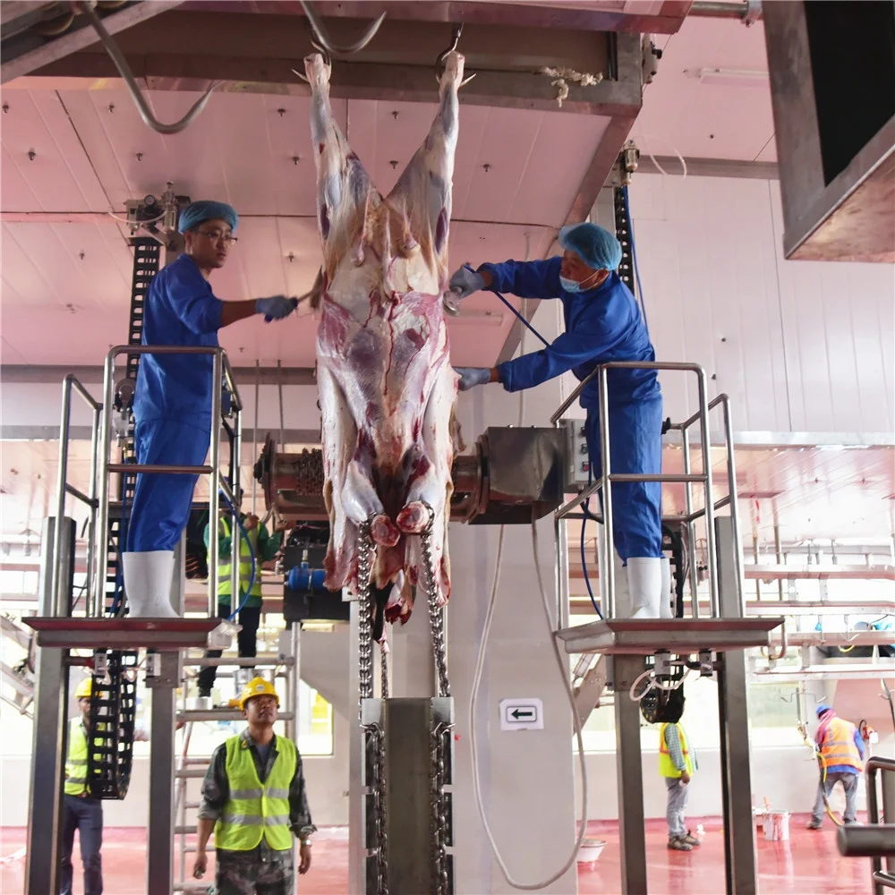 Cow, cow, donkey, camel, horse slaughterhouse factory slaughterhouse equipment