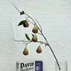5 figs