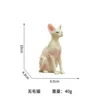 Sphynx Cat