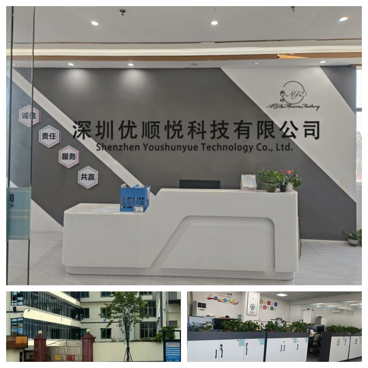 Shenzhen Youshunyue Technology Co., Ltd.