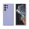 Lavender purple