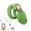 Style court vert