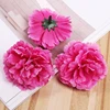 sample-image