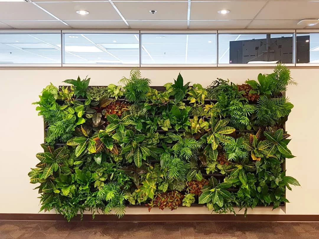 Green Wall System Plastic Tray Living Wall Hanging Planters Vertical ...