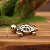 Little Turtle