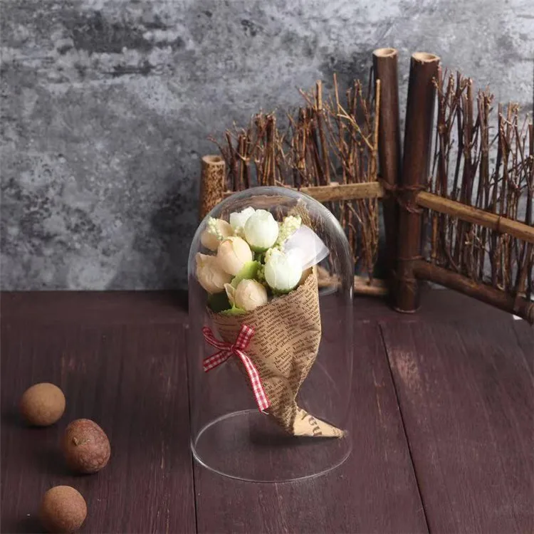 Custom Mini Terrarium Glass Dome with Wooden Cork Base for Hdisplay Decoration