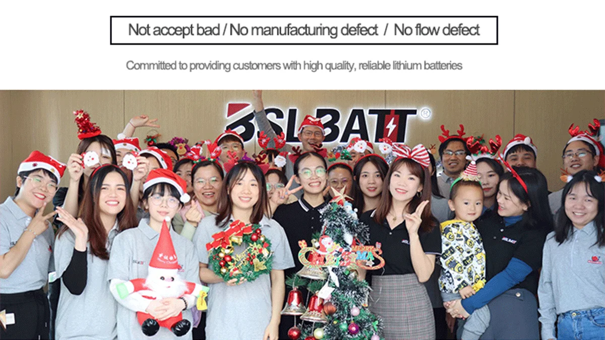Bsl New Energy Technology Co., Ltd.