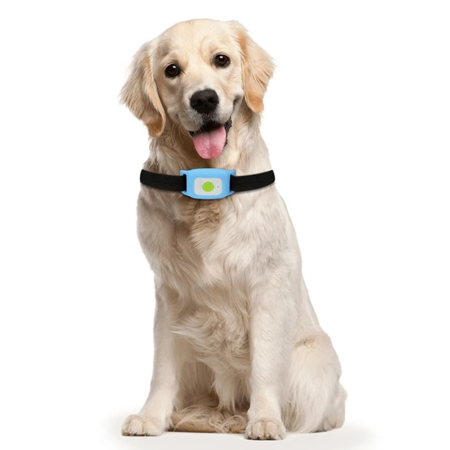 Mini 4G GPS Pet Tracker Real Time waterproof CAT M1 NB-IOT For Dog - Famidy.com