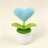 Blue loving heart small pot plant