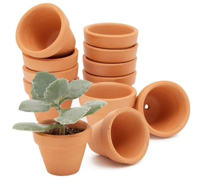 tall terracotta plant pots Pennington Terra Cotta Clay Planter, 16.5 inch Pot
