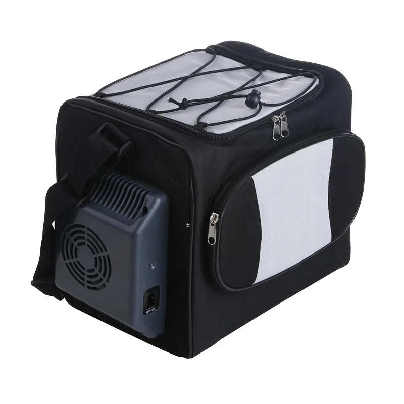 DC 12 Volt Portable Mini Cooler Bag Soft-Sided Thermoelectric Cooler Warmer for Car Hotel Outdoor Adventures New Condition