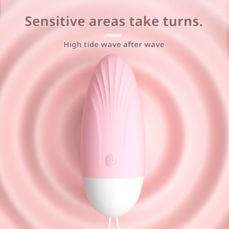 Vibrating egg with remote control and charging accessories