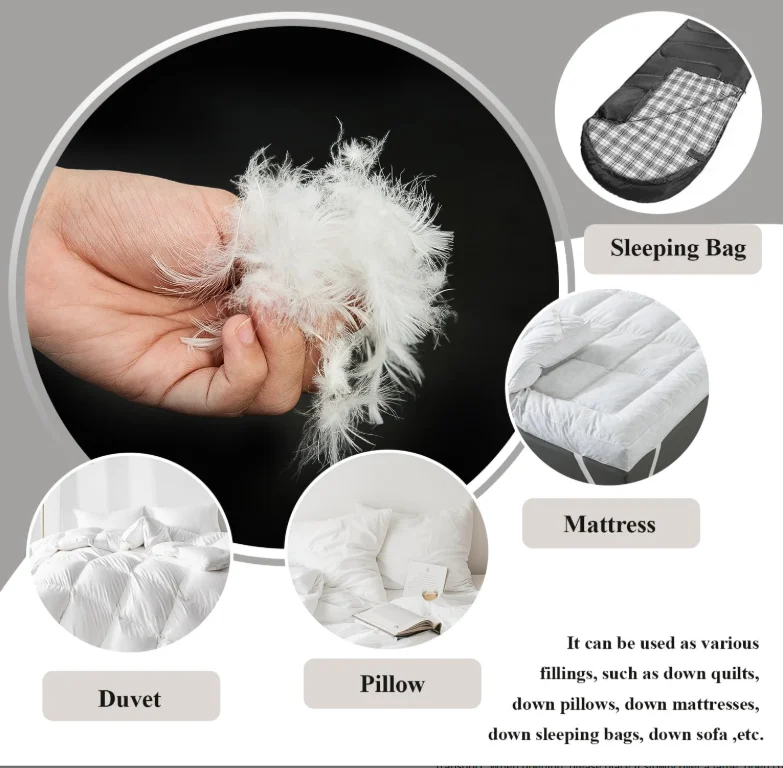 Goose Feather Filling for Bedding