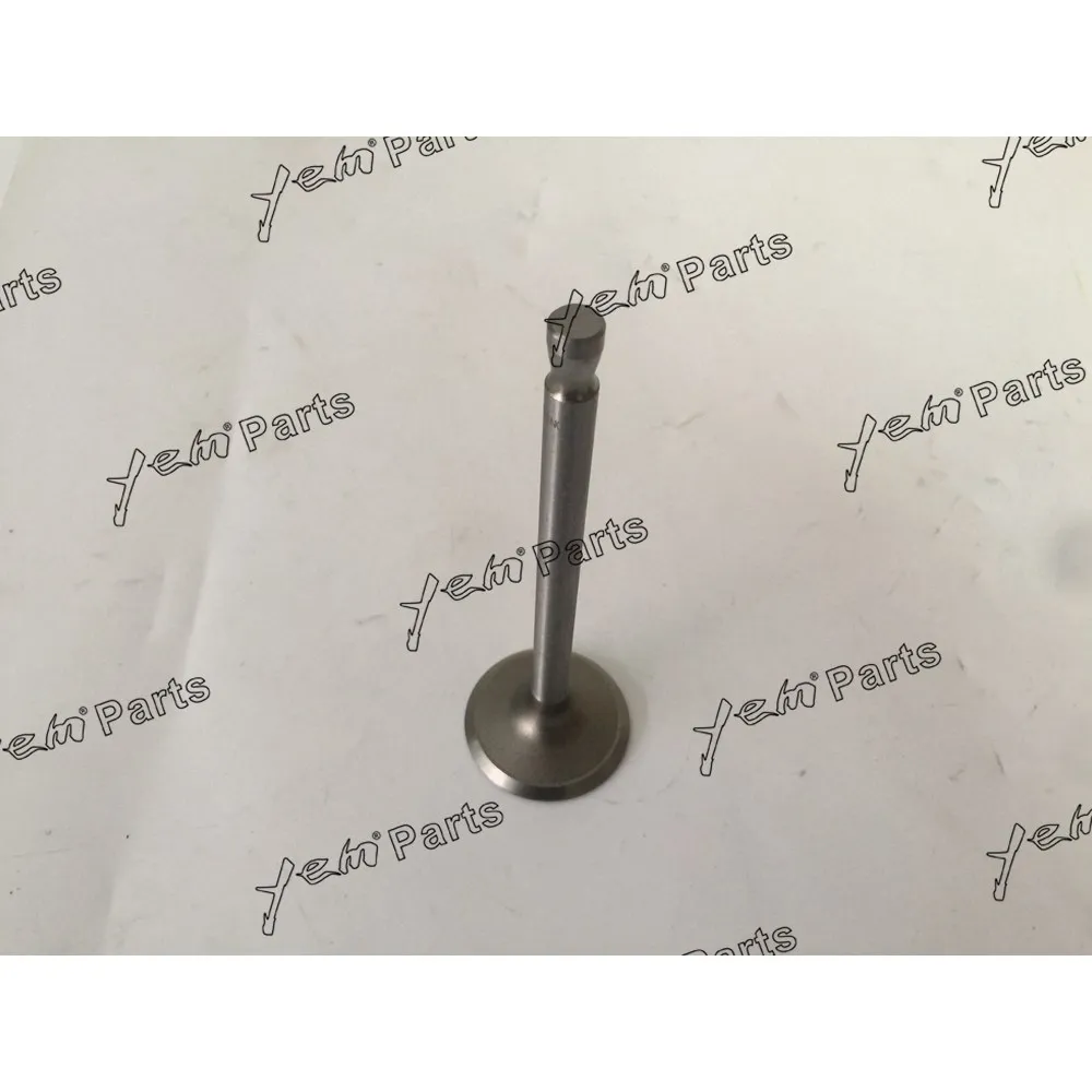 DM100 Intake Valve for Hino Engine Repair Parts Kit