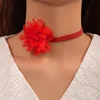 24133-rojo