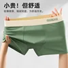 Legno verde