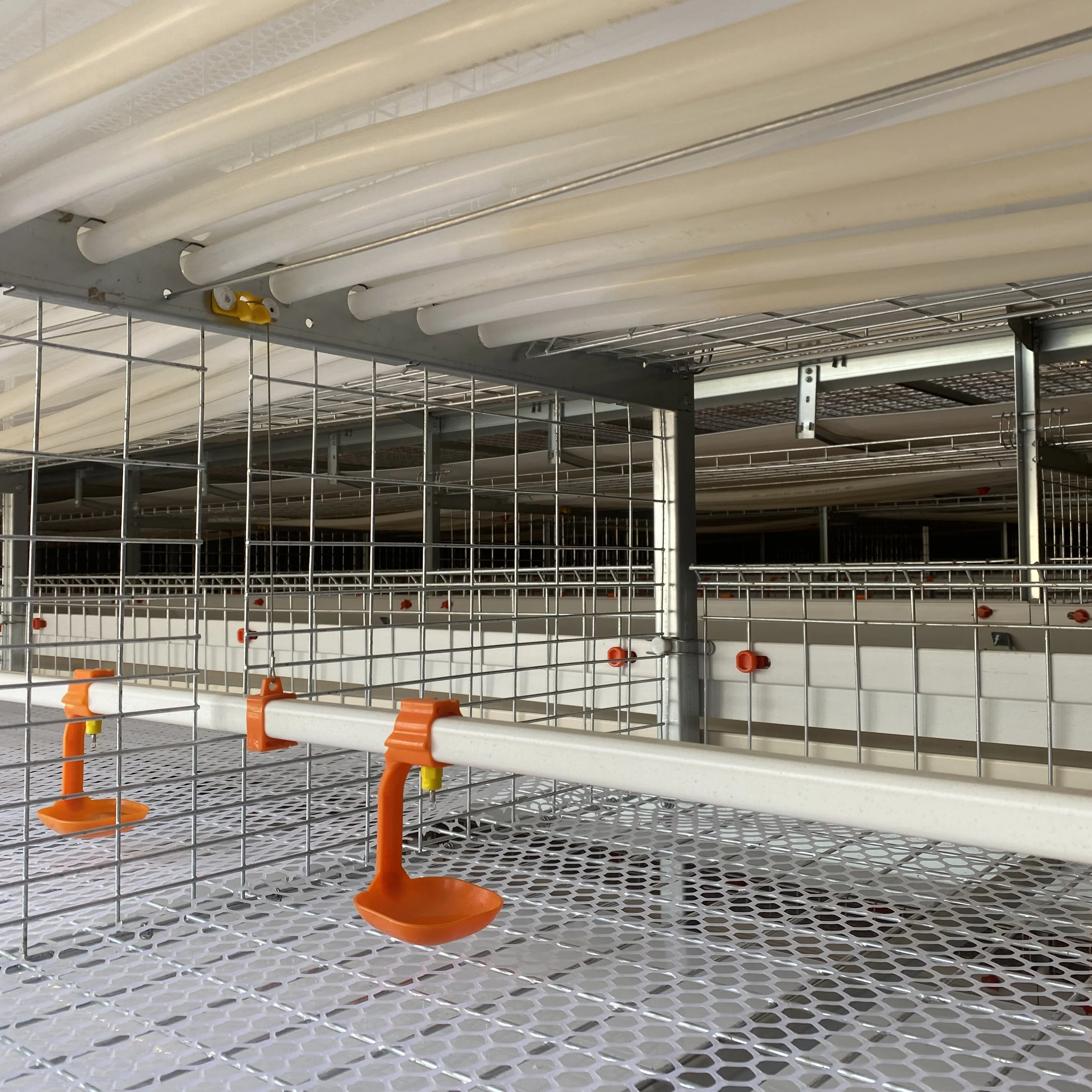 Broiler Cage Automatic h Shape with Trolley Feeding System Battery Cages for Poultry Broiler Long Life Chicken Broiler Cage