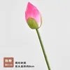 Singolo bocciolo di loto - rosa cipria