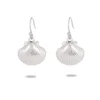 NMSE-D155-silver