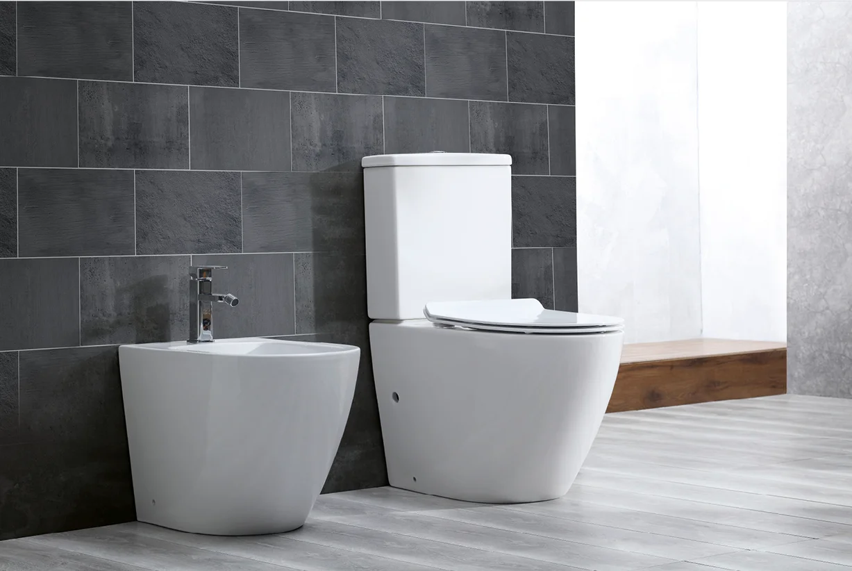 Europe standard white color wc sanitary ware p trap toilet bathroom ceramic two piece back to wall toilet supplier