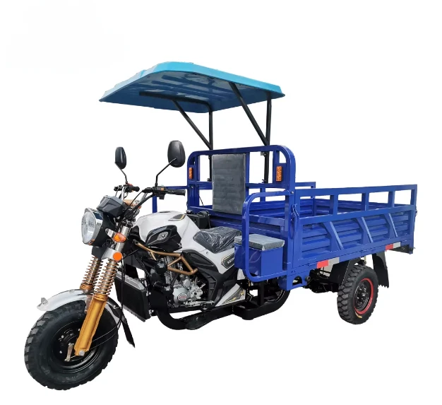 YAOLON Super Design Gasoline Tricycle 250CC Tricycle Petrol diesel Cargo Motorized Tricycle