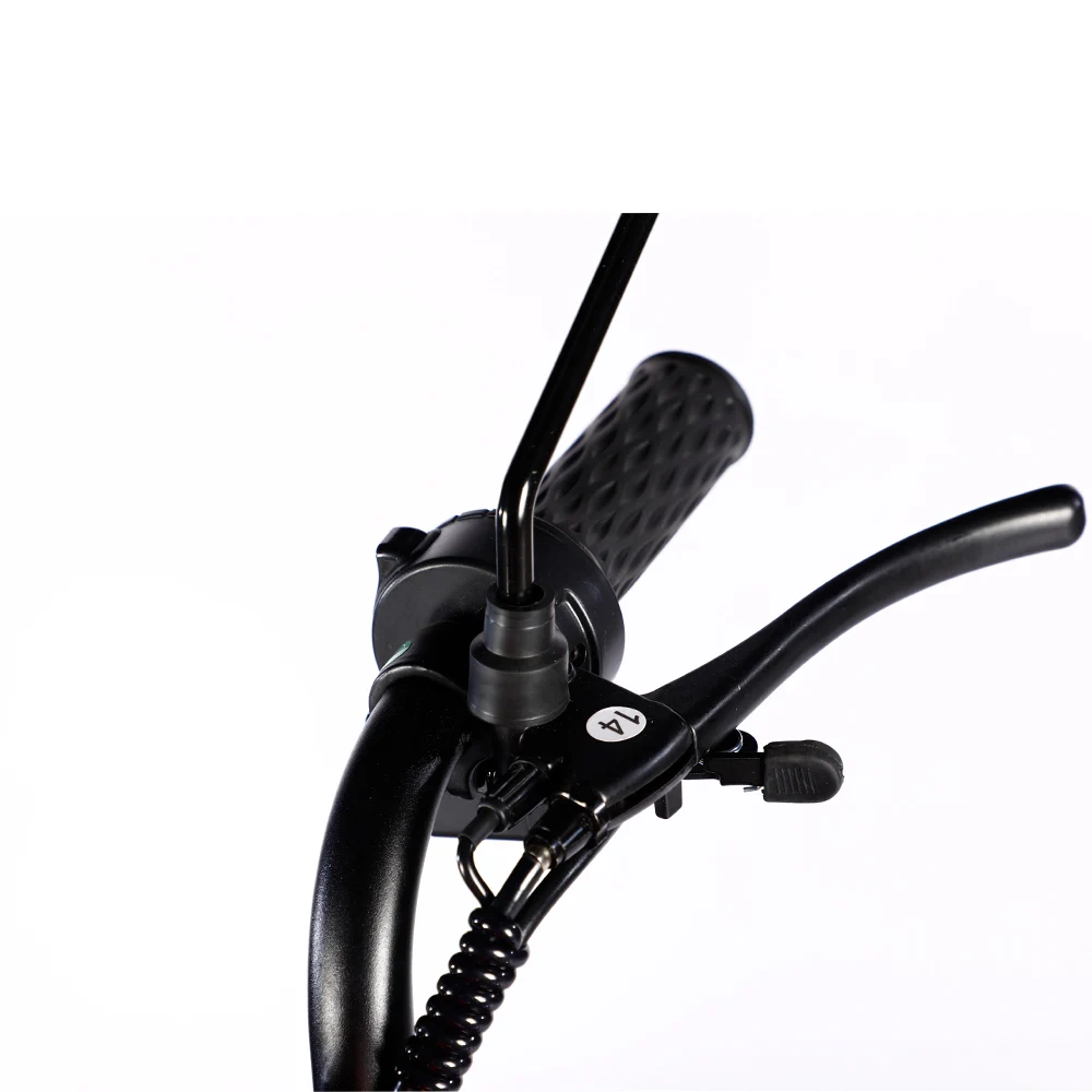 Wholesale 600w 1000w Electric Bike 3 Wheel 48v 20ah Cargo E Bike Electric Tricycle Motorcycle