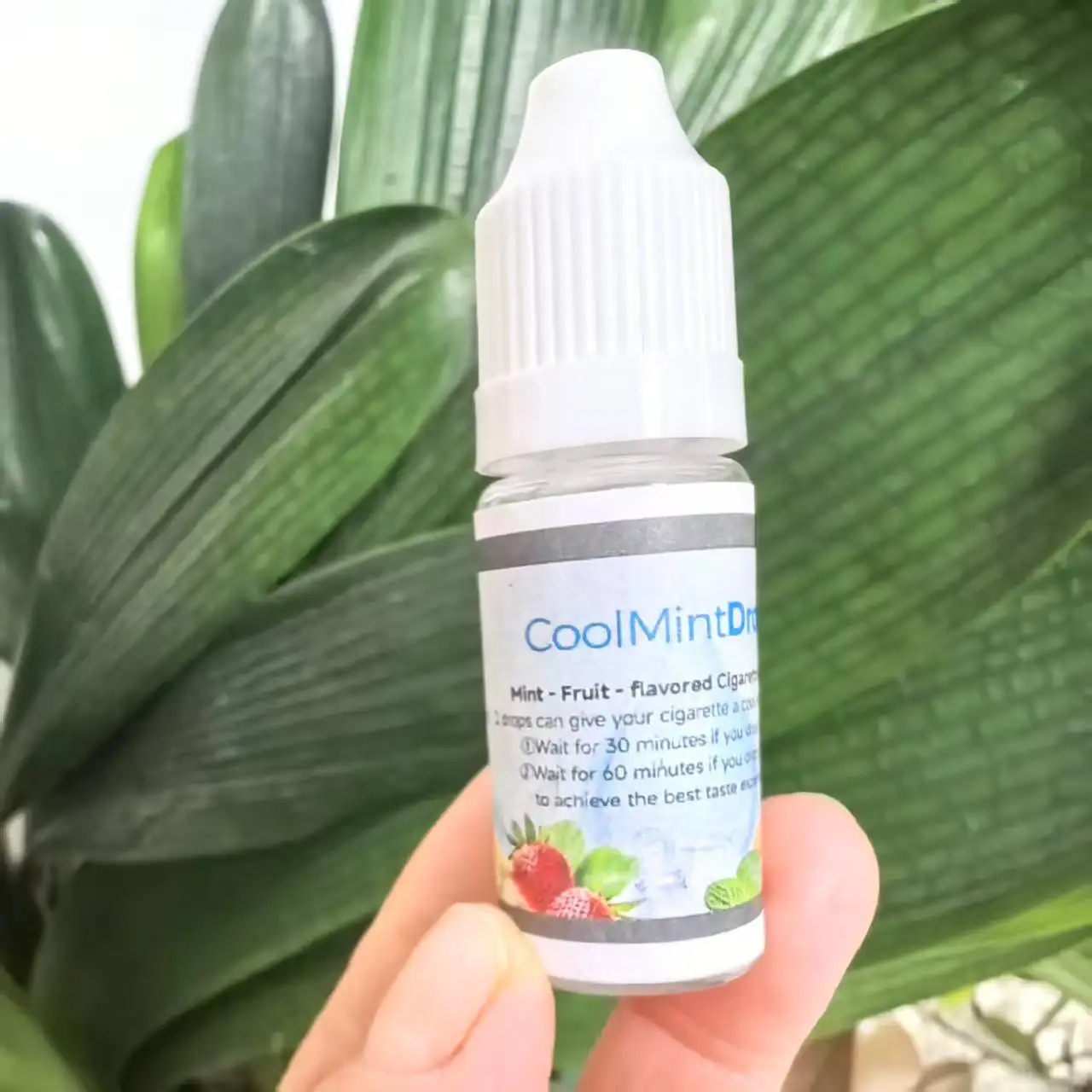 Hot Selling Delicious Peppermint Fruit Flavor Ice Cool Cigarette Filter  Essential Oil Flavor Drops Liquid Cigarette Essence
