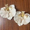 Un par de zapatos de orquídea phalaenopsis a rayas con borde enrollado