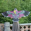 Aigle plat 1,55m rouge-noir-bout renforcé
