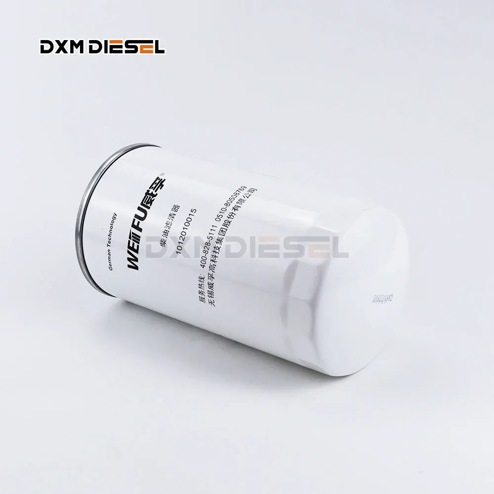 DXM Weifu Fuel Filter 1012010015 High Quality factory