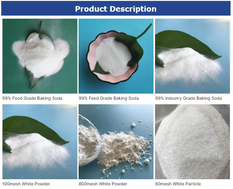 Factory supply CAS NO.144-55-8 Industrial Grade sodium bicarbonate organic with high quality details