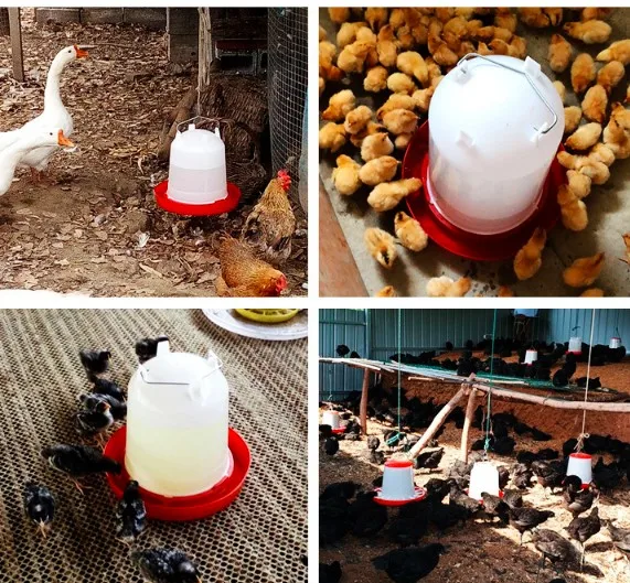 Plastic Poultry Animal Feeders and Drinker Manual Chicken Feeder Bird Feeders
