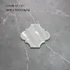 Gris oscuro brillante