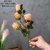 สีพีช