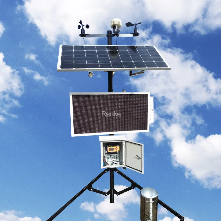 Weather Station Professional - Renke