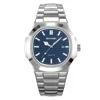 silver/dark blue