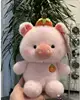 Good persimmon pig