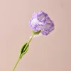 Gradiente viola garofano