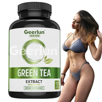 Best Selling ODM OEM Weight Loss Capsules Boost Metabolism Supplements Keep Slimming Green Tea Extract Capsules