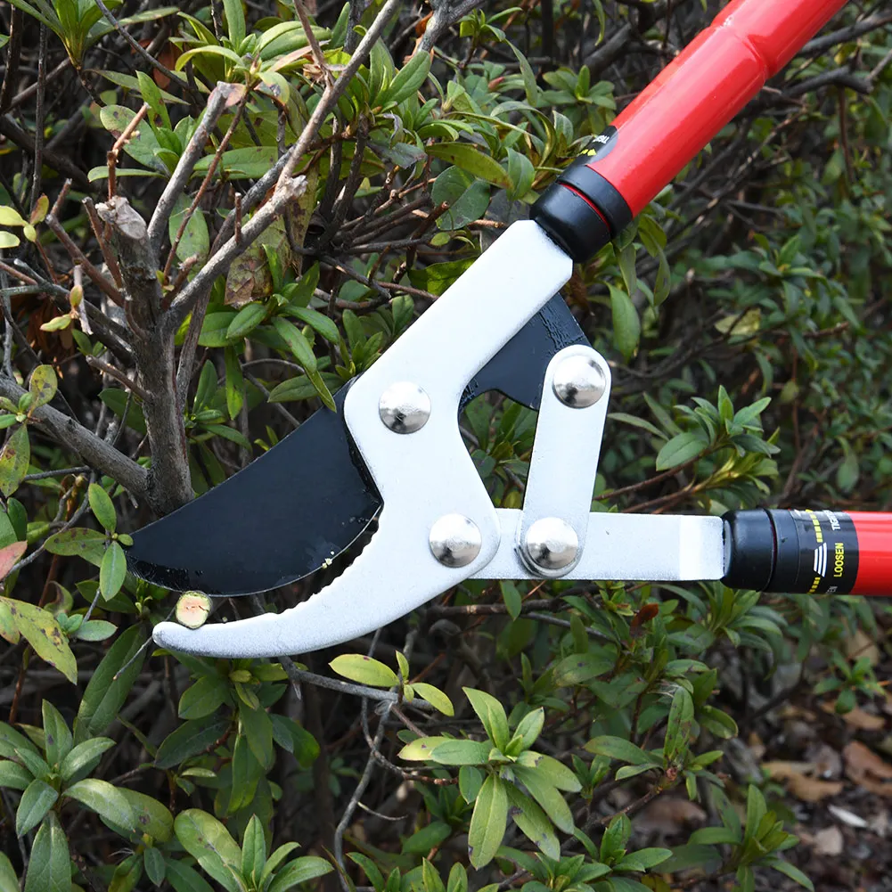 Adjustable Garden Cutting Tools Long Reach Telescopic Bypass Loppers