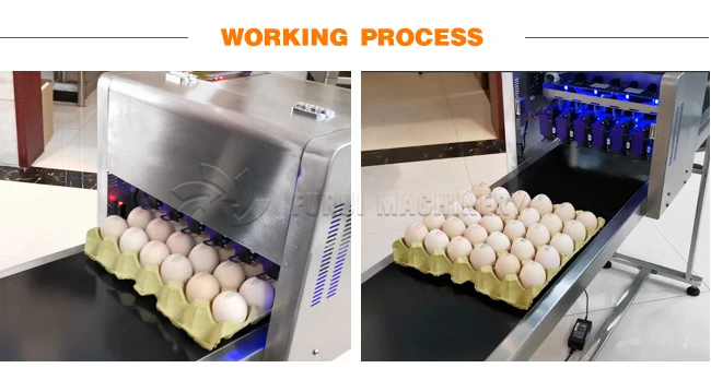 Automatic carton coding machine eggs number inkjet printer/egg printer machine