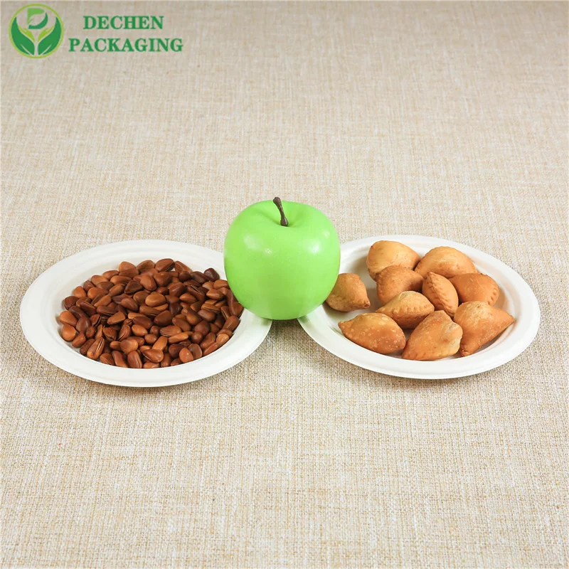 Sugarcane Bagasse Food Plates, Bowls, Cups &amp;amp; Square Box Manufacturer