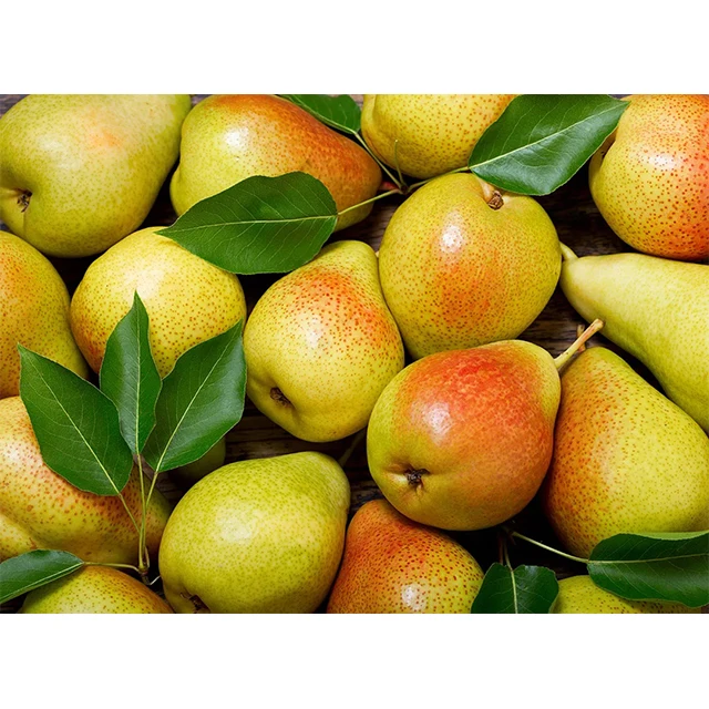 Fresh Golden Pear New Crop Suppliers Wholesale High Quality Bulk