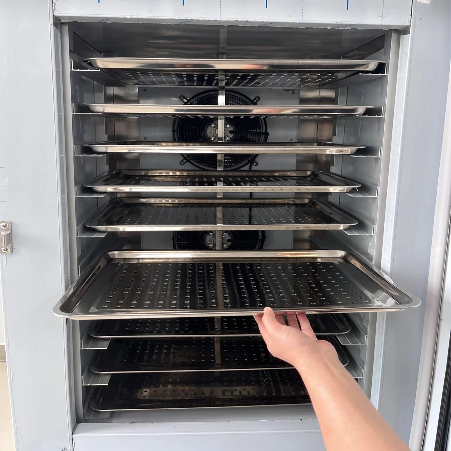 10 Trays Small Fast Freezing Iqf Shock Blast Freezer